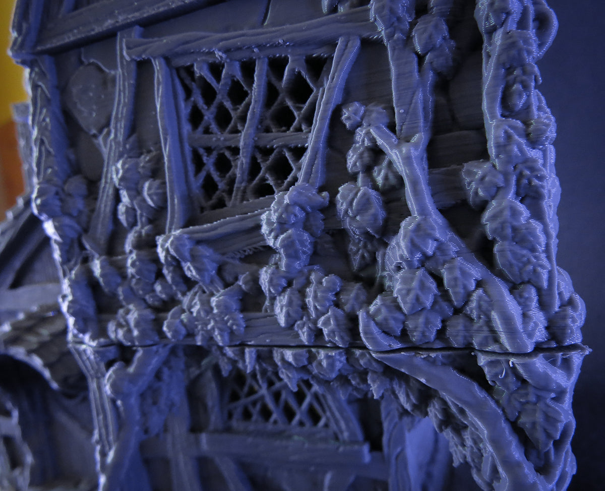 Healer's House - City of Tarok