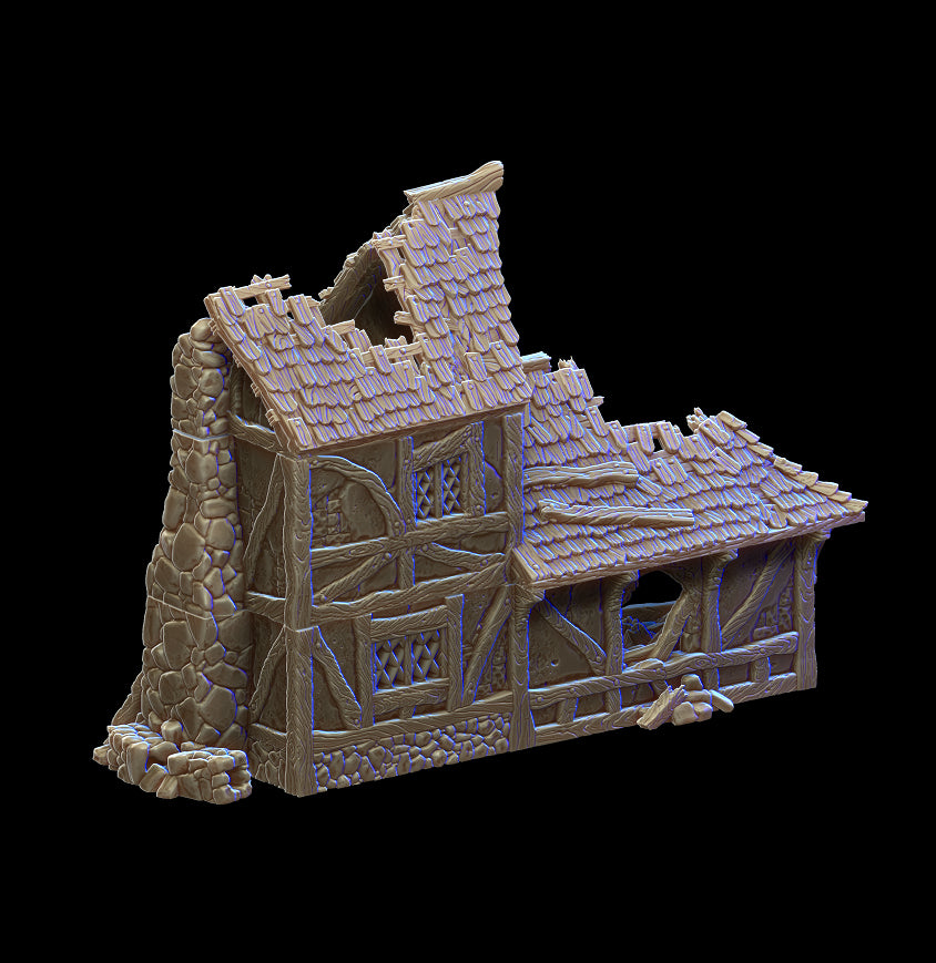 Ruined Small House - City of Tarok