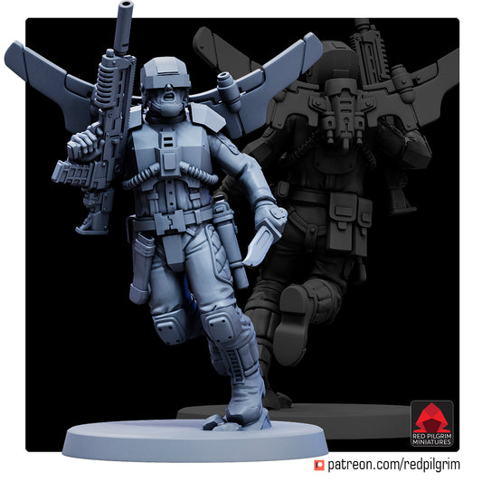 Airborne Reinforcements
