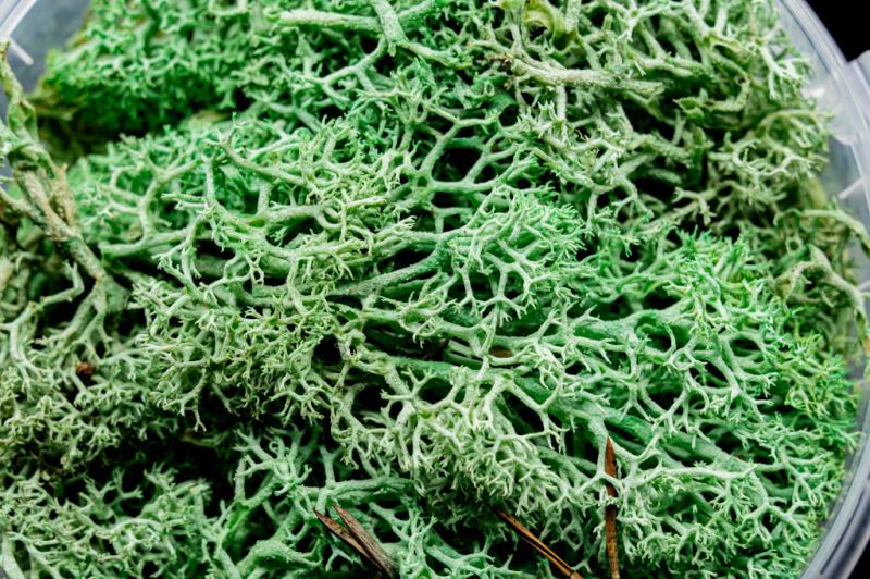 Alien Hedge Miniature Basing Material