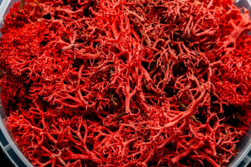 Bleeding Hedge Miniature Basing Material