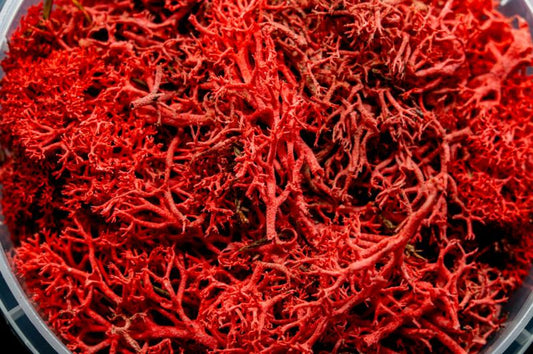 Bleeding Hedge Miniature Basing Material