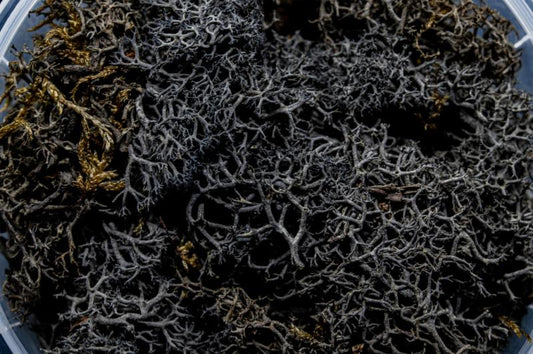 Burnt Hedge Miniature Basing Material