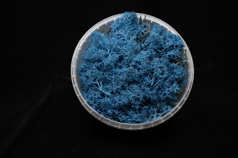 Coral Blue Hedge Miniature Basing Material
