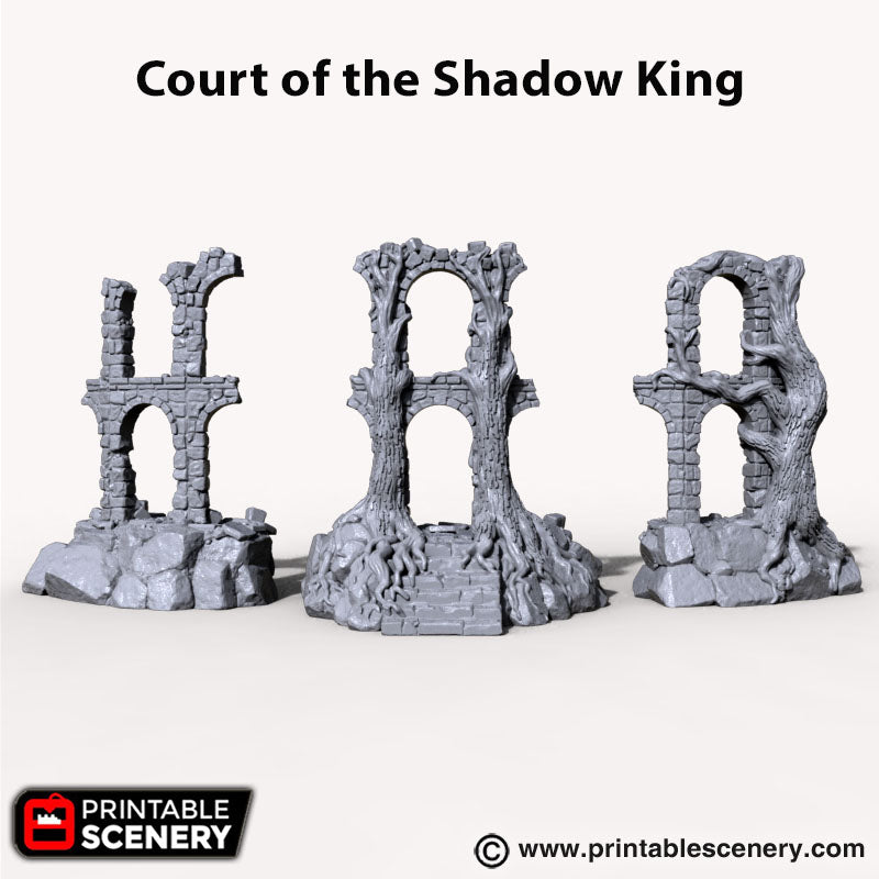 Court of the Shadow King Ruins