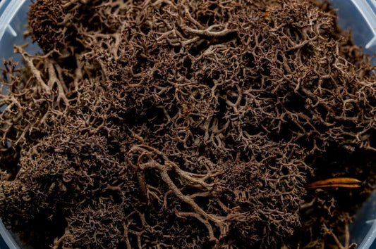 Deadwood Hedge Miniature Basing Material