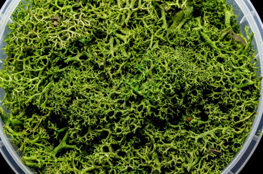Green Hedge Miniature Basing Material