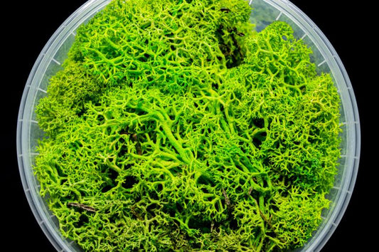 Lush Hedge Miniature Basing Material