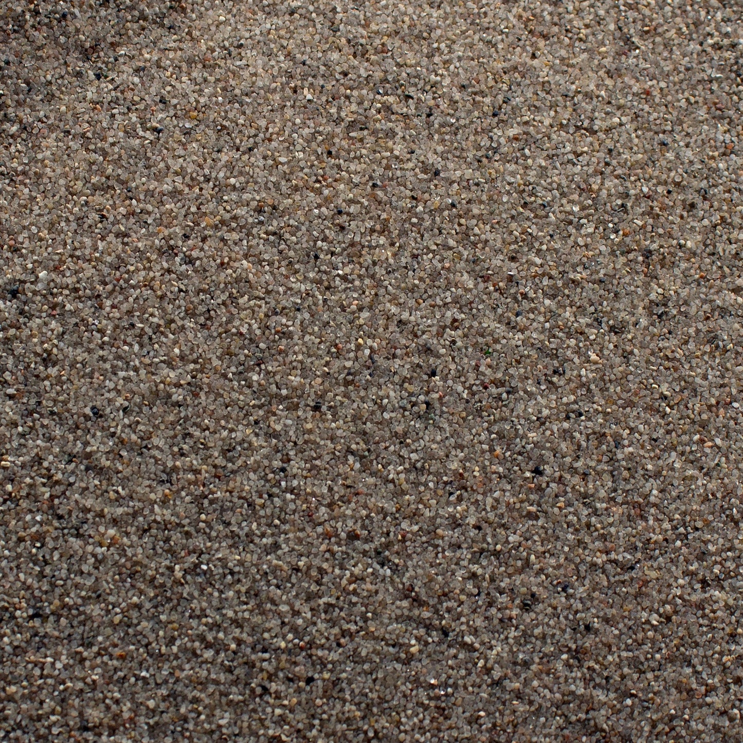 Modelling Coloured Sand - Champagne