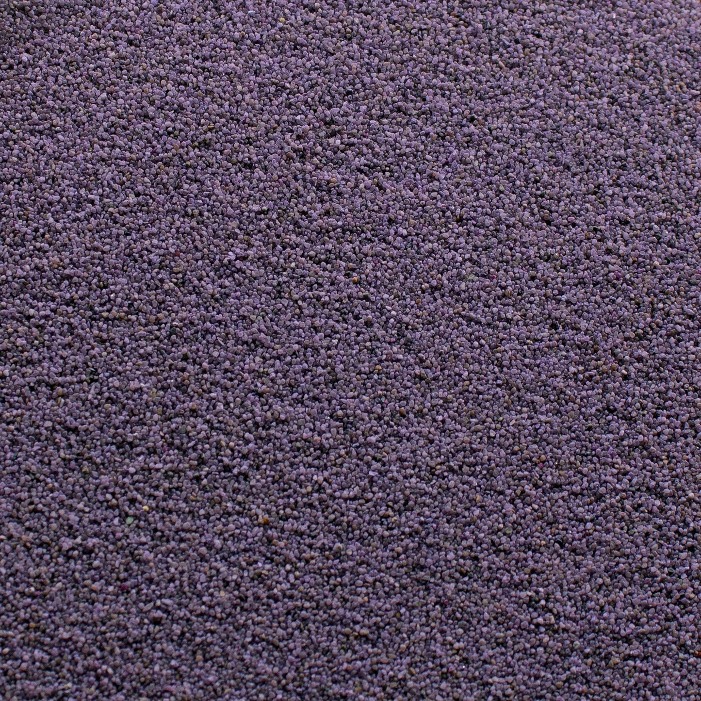 Modelling Coloured Sand - Purple Clover