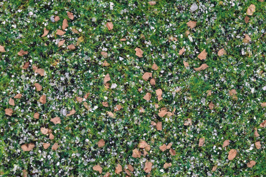 Base Ready Taiga Hillside