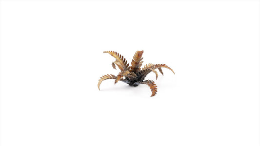 Alien Fern - Gamers Grass