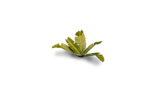 Banana Tree - Gamers Grass