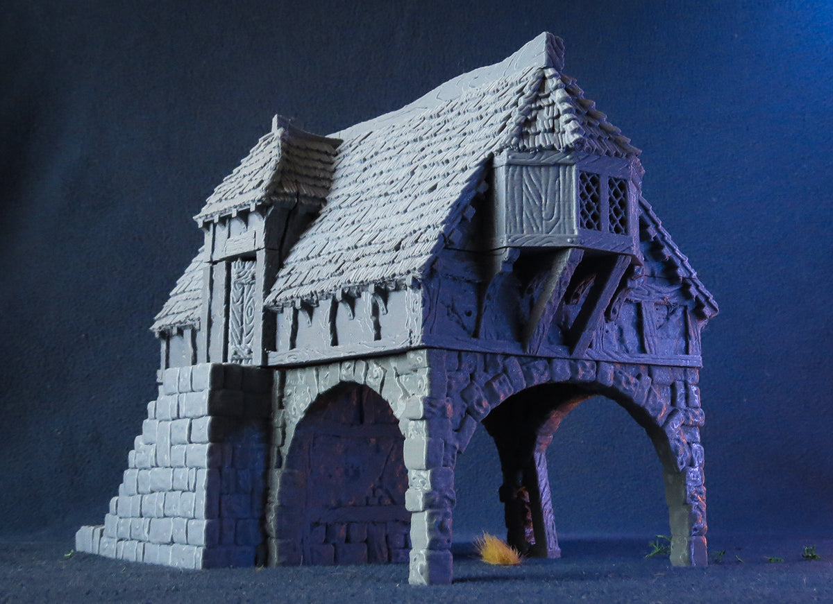 Merchant House - City of Tarok