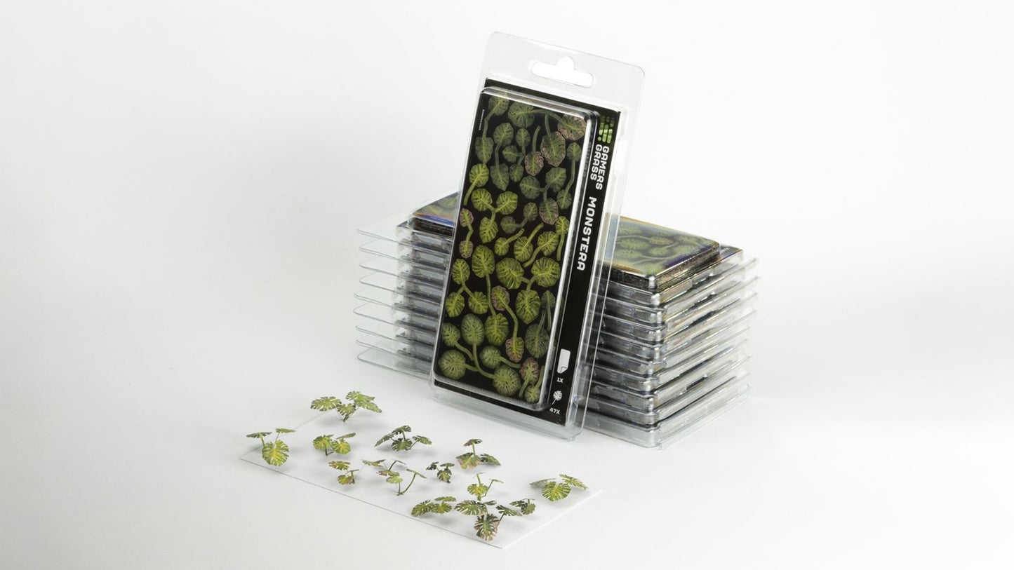 Monstera - Gamers Grass