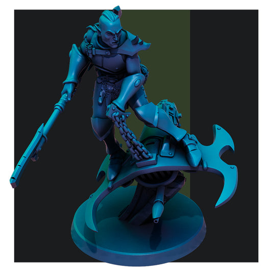 Dark Elf Nightwings