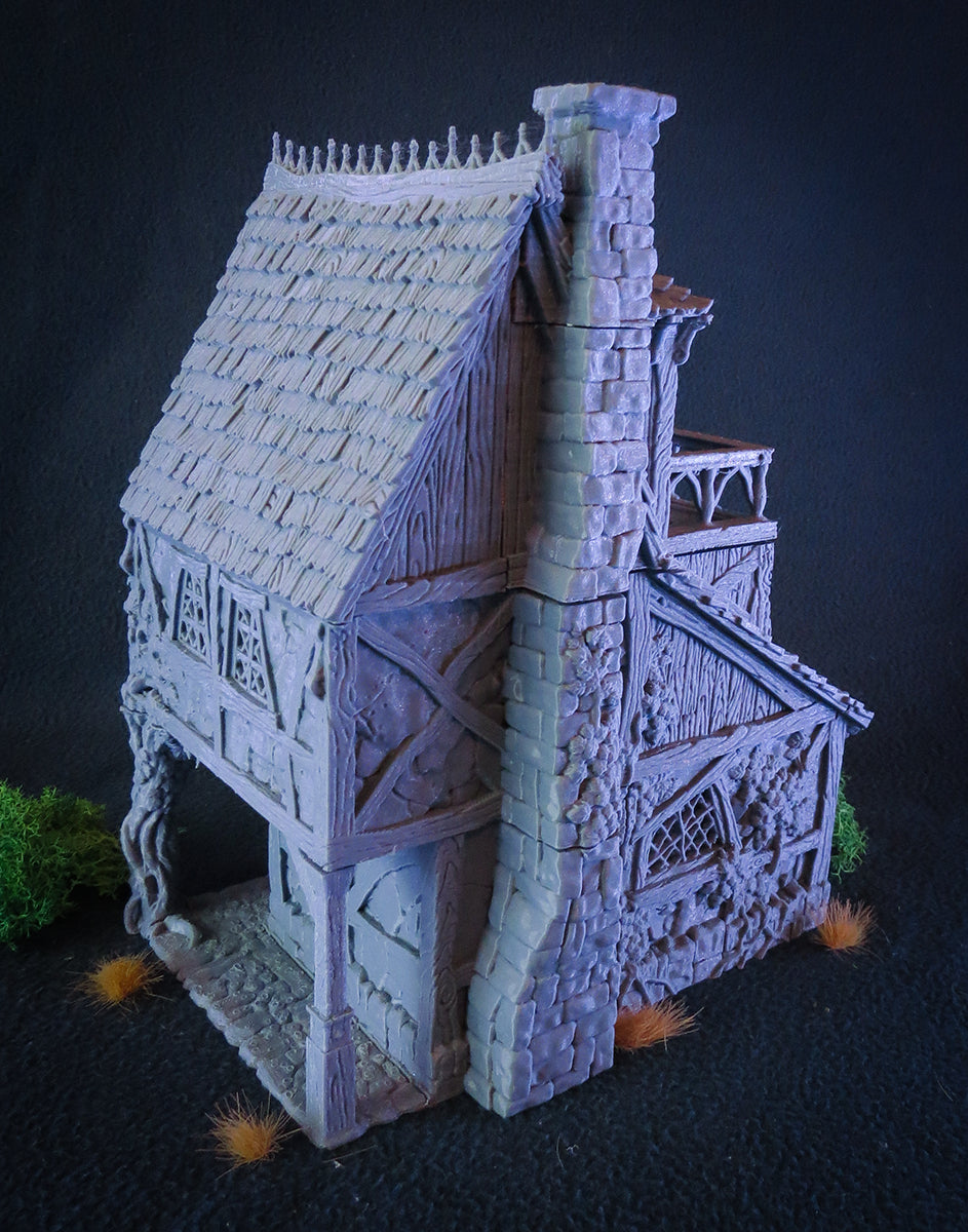 Healer's House - City of Tarok