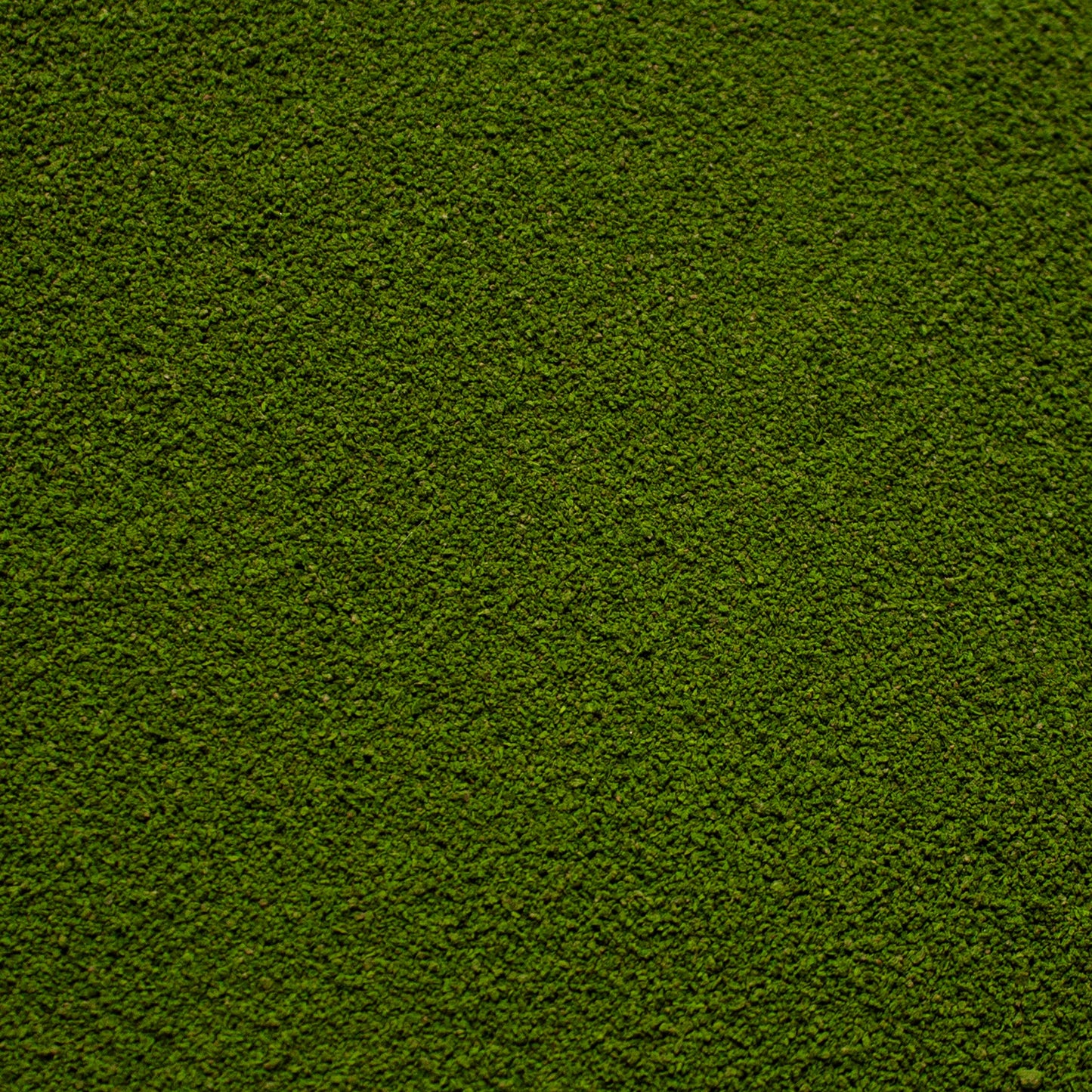 Fine Flock - Woodland Fern Light Green