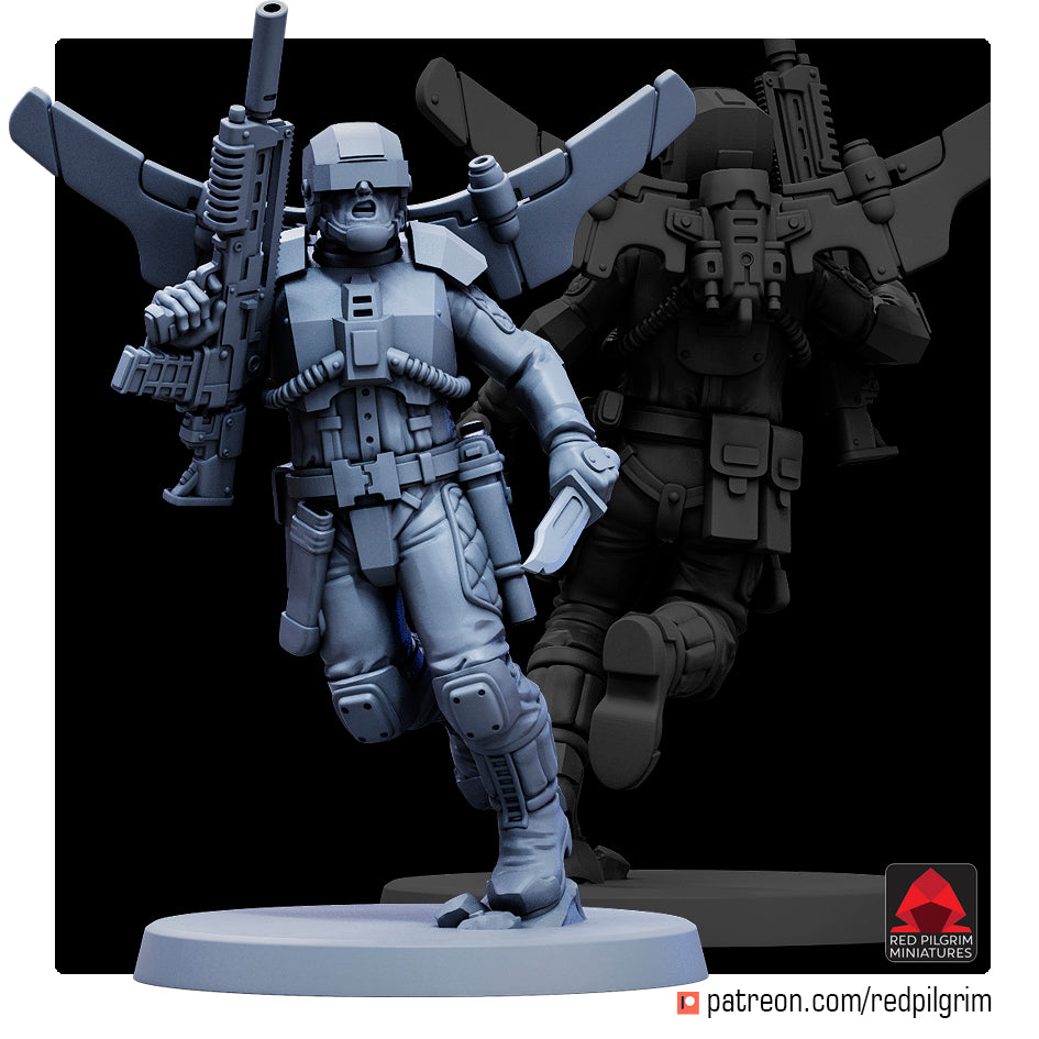 Airborne Reinforcements