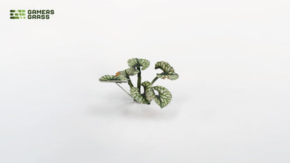 Bugloss - Gamers Grass