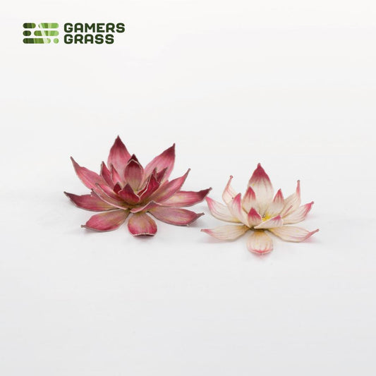 Lotus Flower - Gamers Grass