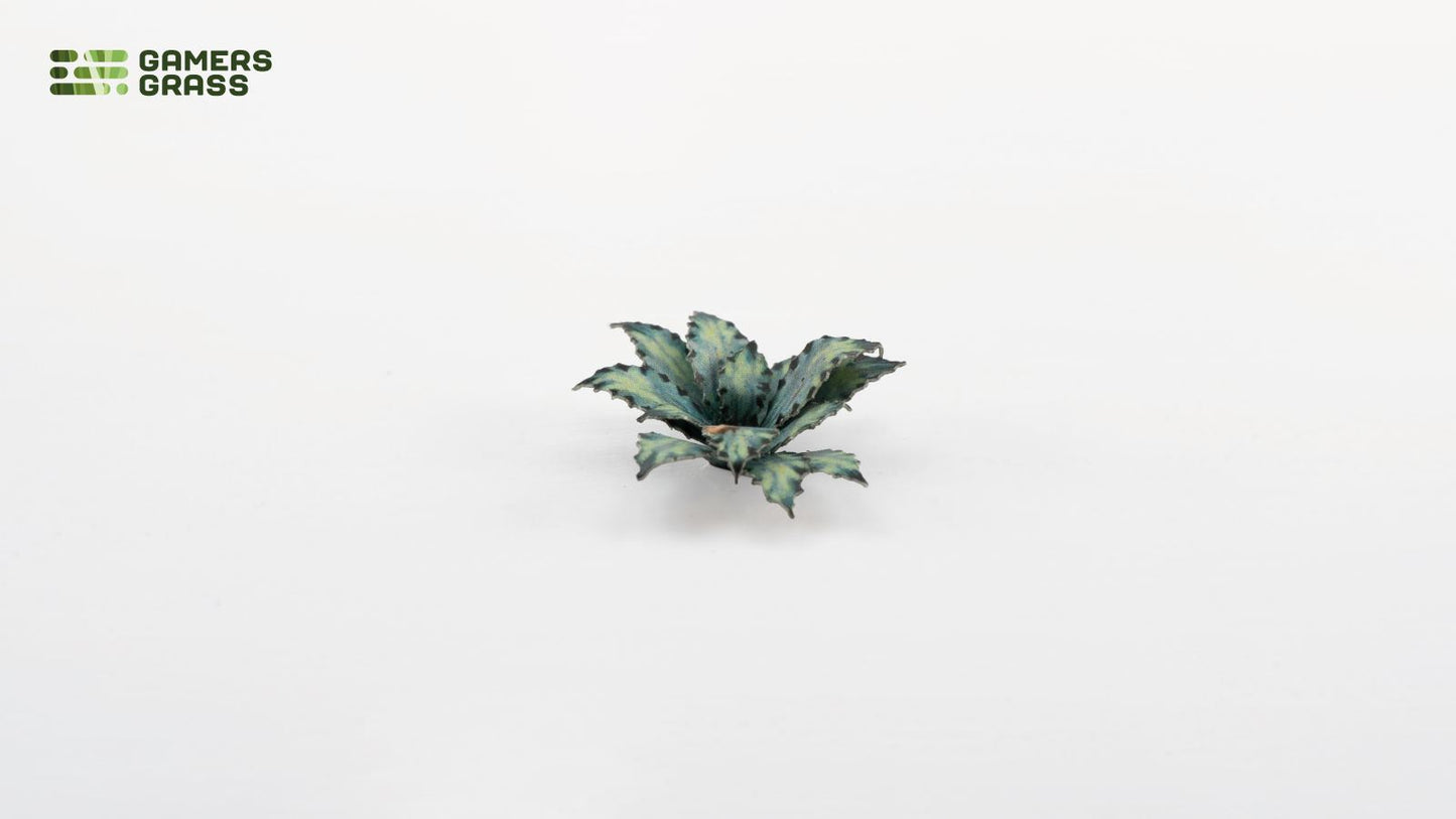 Blue Agave - Gamers Grass