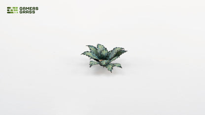 Blue Agave - Gamers Grass
