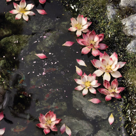 Lotus Flower - Gamers Grass