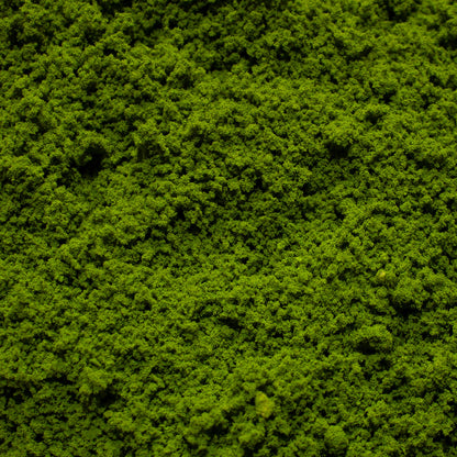 Coarse Flock - Rainforest Canopy