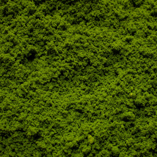 Coarse Flock - Rainforest Canopy