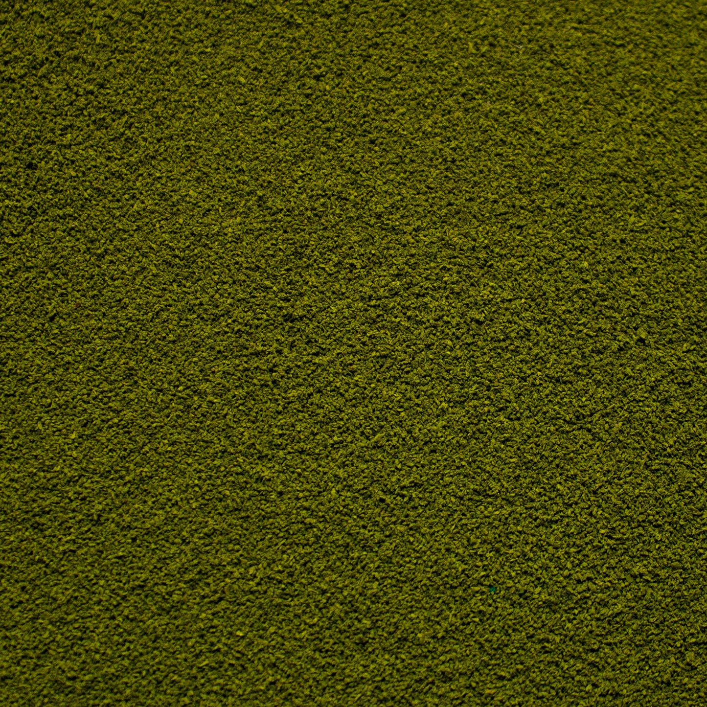 Fine Flock - Rainforest Canopy