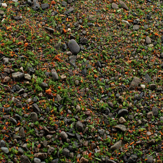 Base Ready Summer Meadow