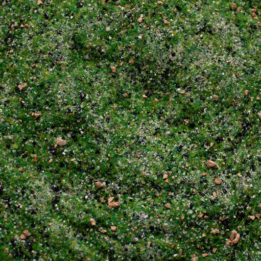 Base Ready Taiga Hillside