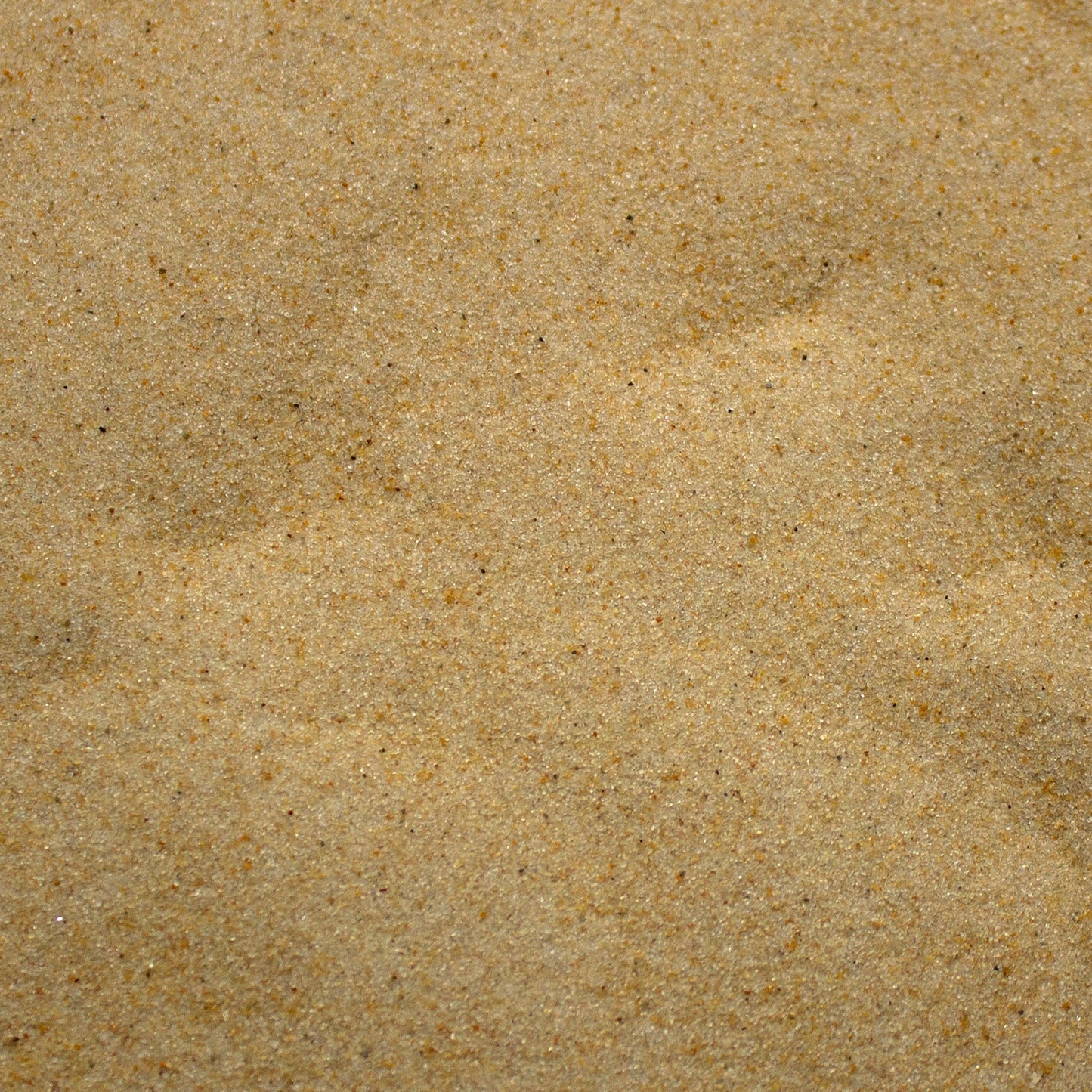 Base Ready Tropical Beach