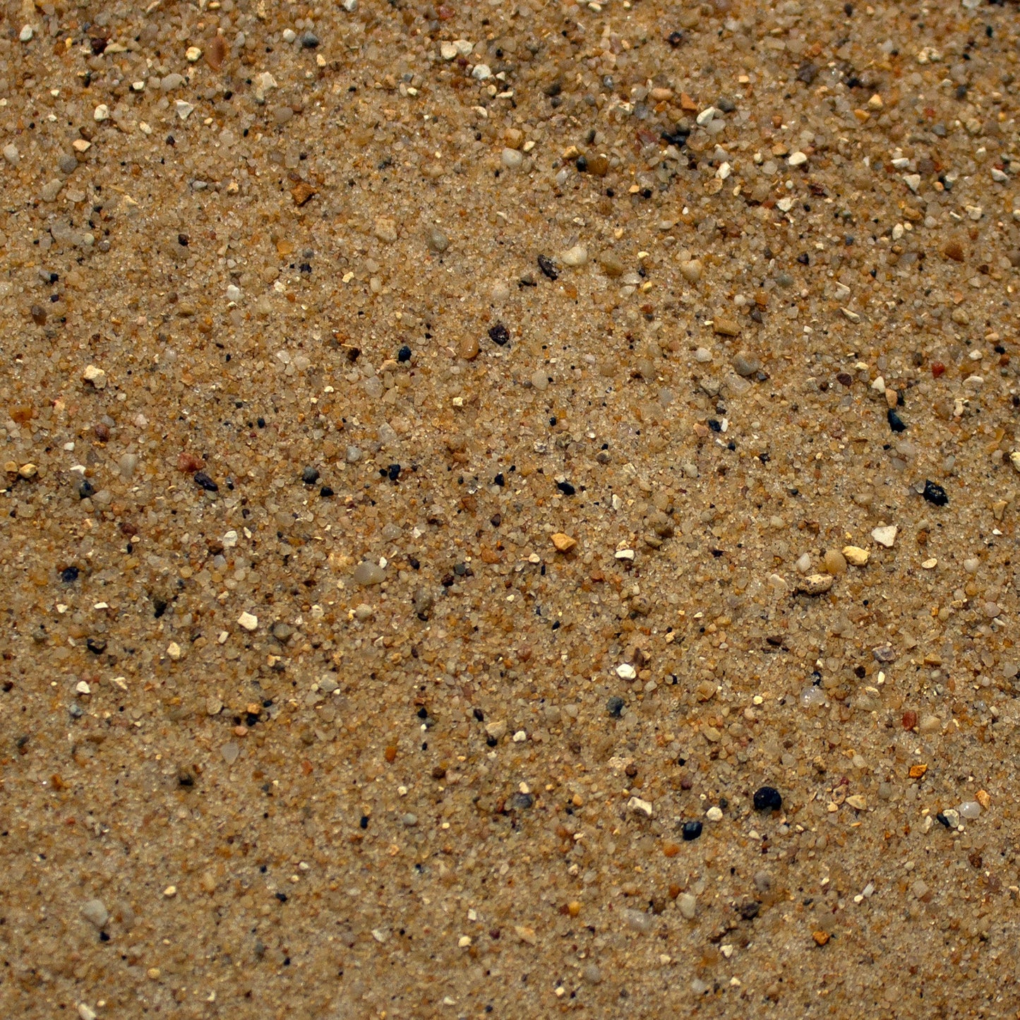 Base Ready Desert Sand And Stone (Small Scale)