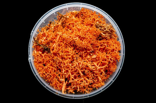 Blazing Hedge Miniature Basing Material
