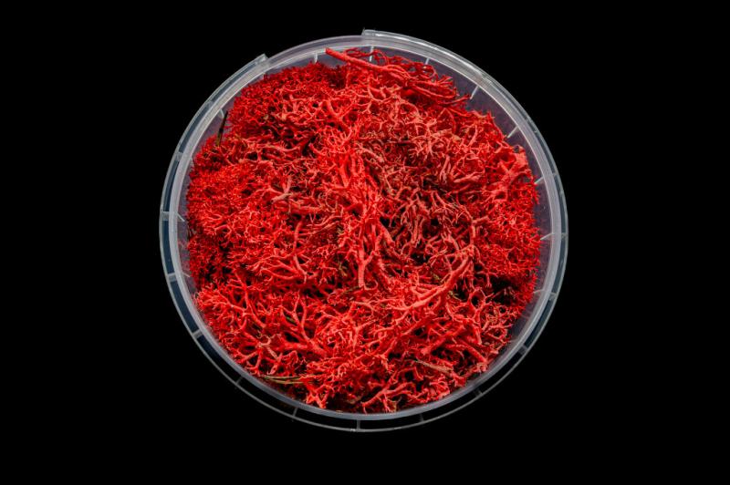 Bleeding Hedge Miniature Basing Material