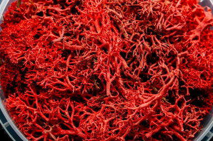 Bleeding Hedge Miniature Basing Material