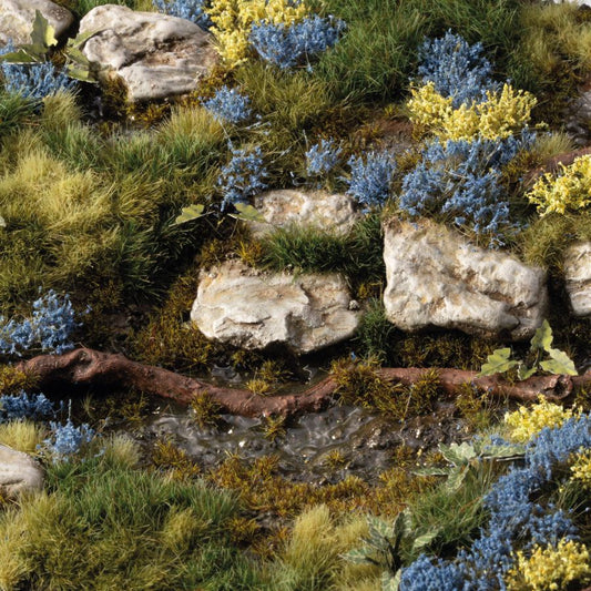 Bluebeard Flowers - Gamers Grass