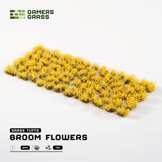 Broom Flowers - Gamers Grass