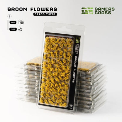 Broom Flowers - Gamers Grass