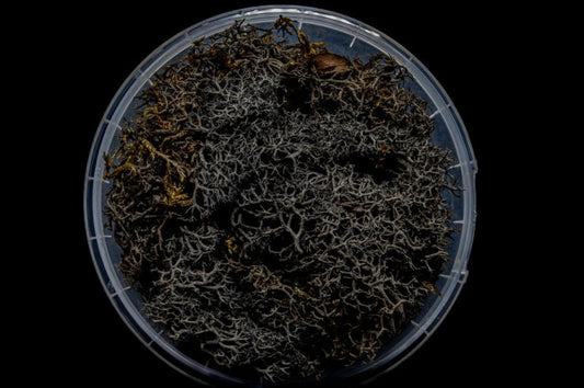 Burnt Hedge Miniature Basing Material