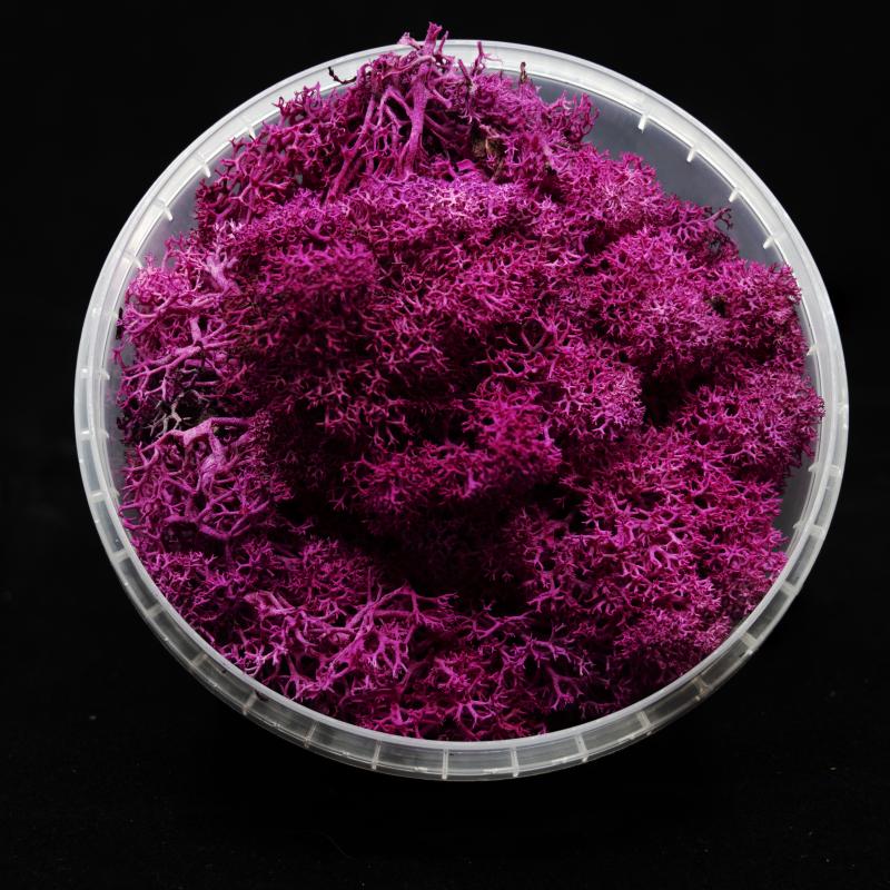 Coral Red Hedge Miniature Basing Material