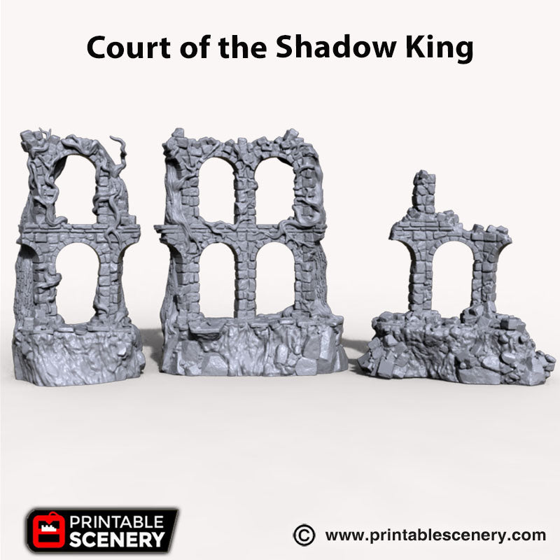 Court of the Shadow King Ruins