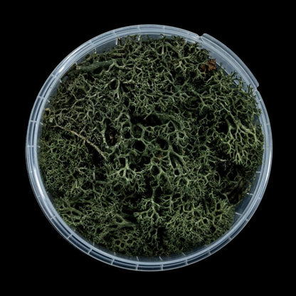 Darkwood Hedge Basing Material