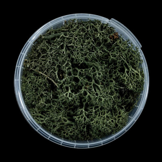 Darkwood Hedge Basing Material