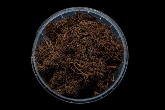 Deadwood Hedge Miniature Basing Material