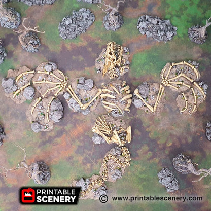 Dragon Skeleton Graveyard