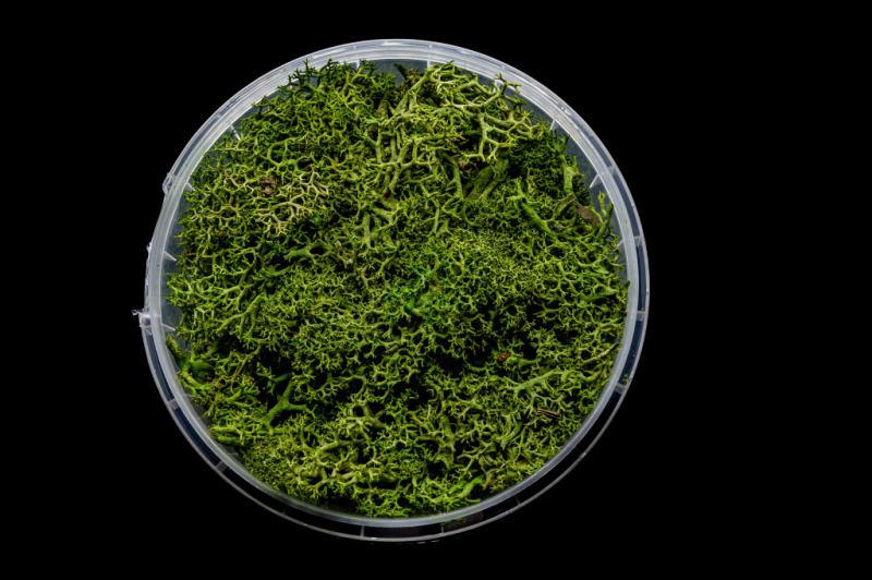 Green Hedge Miniature Basing Material