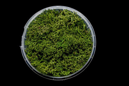 Green Hedge Miniature Basing Material